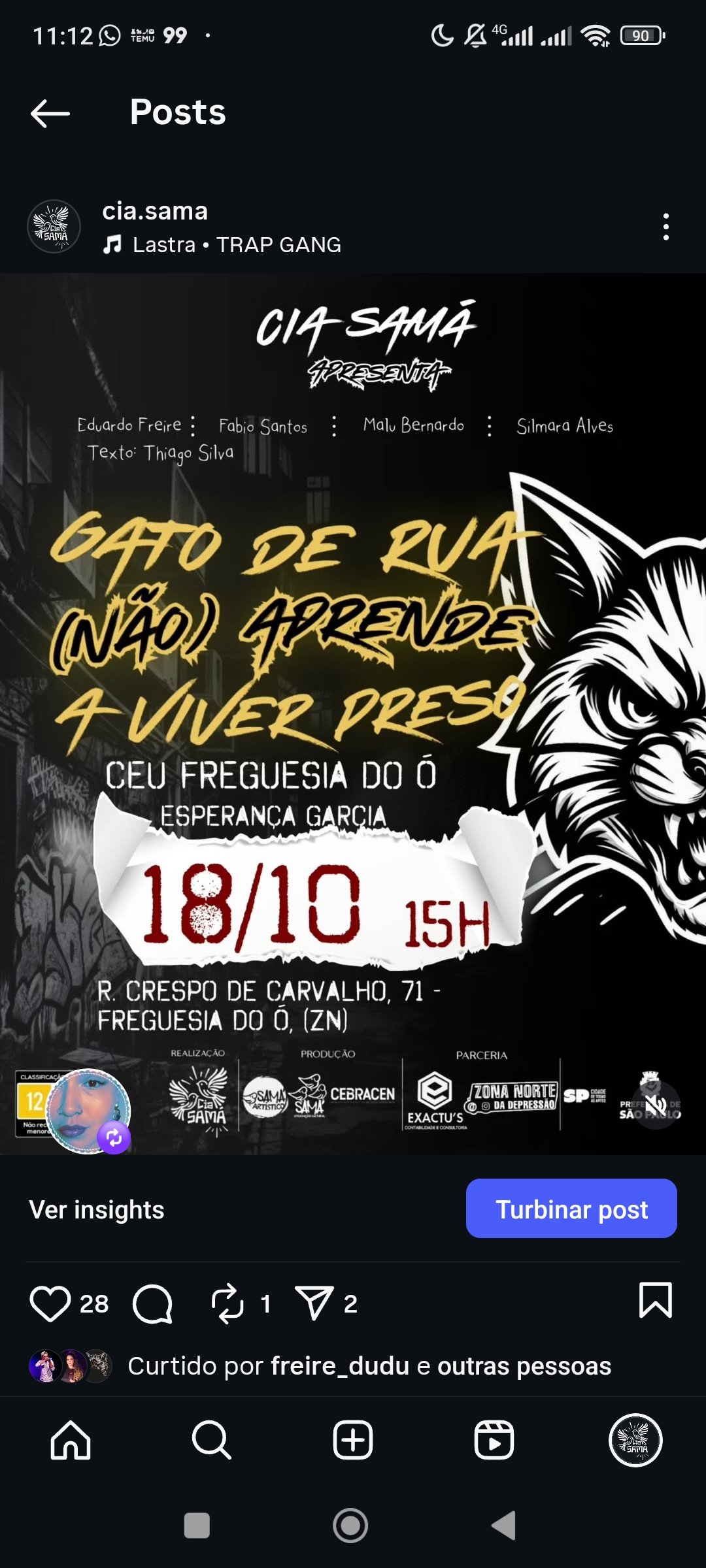 Instagram Gato de Rua