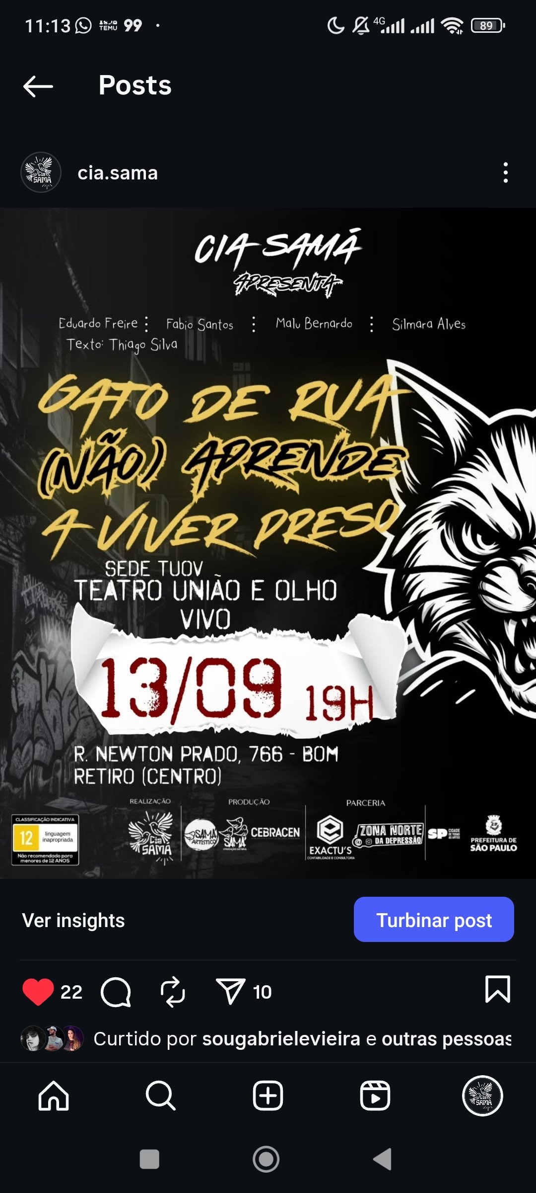 Instagram Gato de Rua