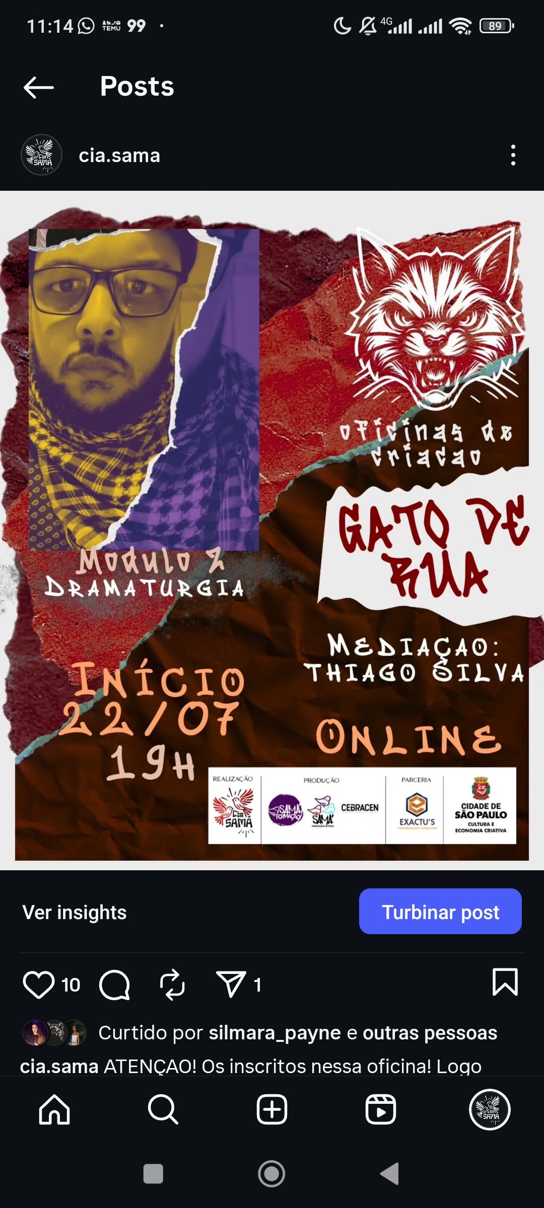 Instagram Gato de Rua